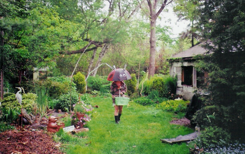 Back Yard Bug Umbrella